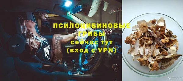 МДПВ Армянск