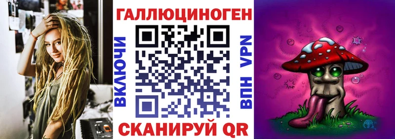 Псилоцибиновые грибы Psilocybe цена Новотроицк